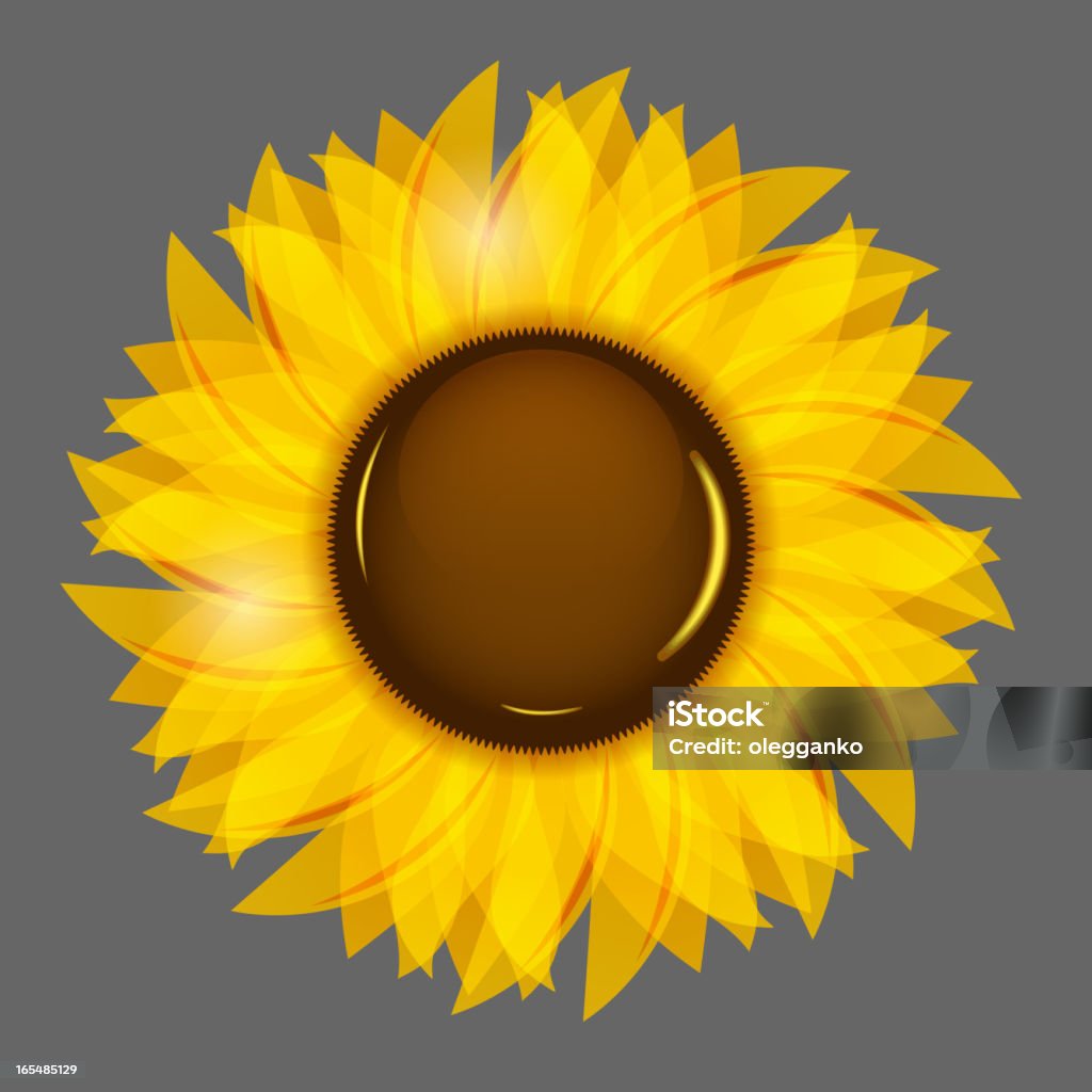 Sonnenblumen Vektor-illustration-Hintergrund - Lizenzfrei Abstrakt Vektorgrafik