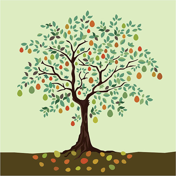 ilustraciones, imágenes clip art, dibujos animados e iconos de stock de de años fructíferos - árboles frutales
