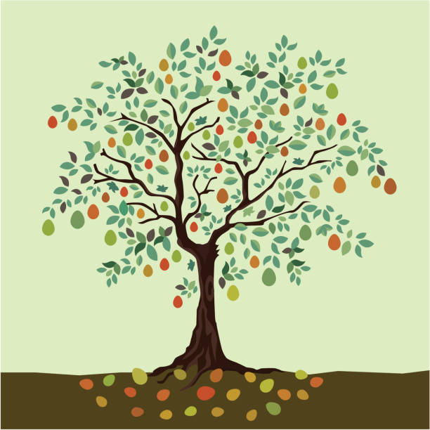 лет плодотворное - fruit tree stock illustrations