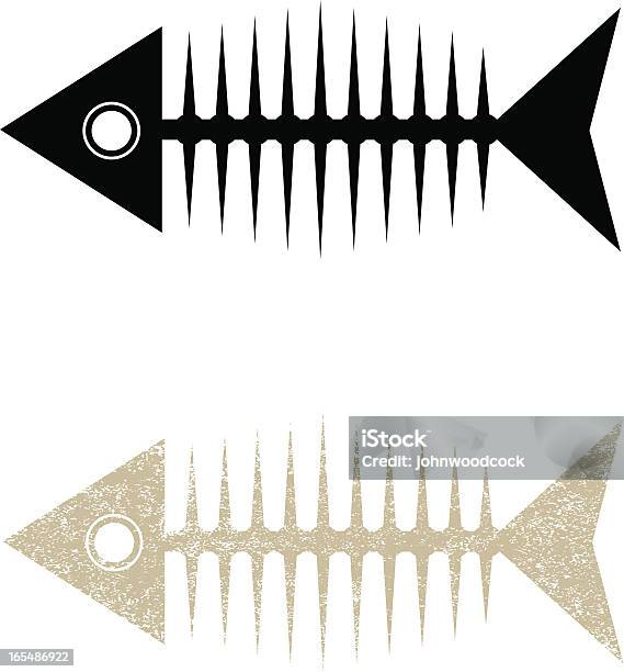 Fisch Skelett Stock Vektor Art und mehr Bilder von Fisch - Fisch, Tierisches Skelett, Flosse