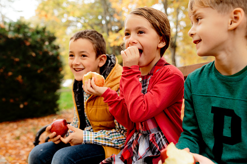 Smiling children sitting on the bench in the autumn park and eating apple as a snack
