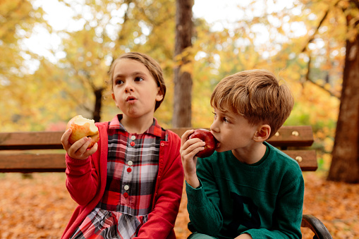 Smiling children sitting on bench in autumn park and eating apple