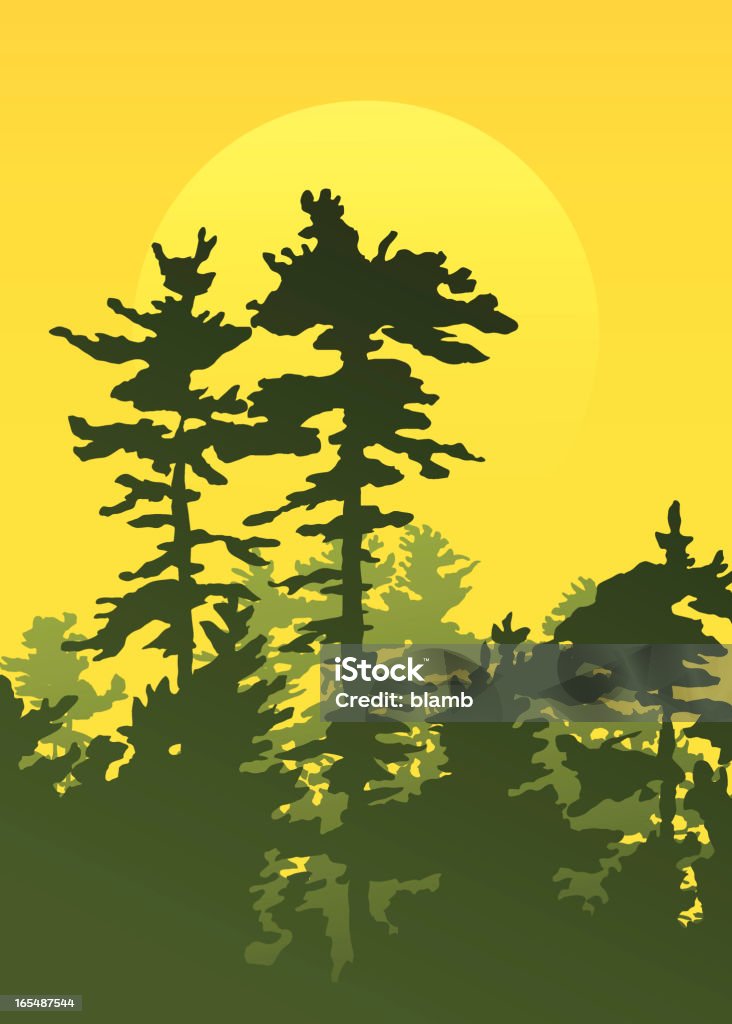 Sunrise bosque - arte vectorial de Abeto libre de derechos