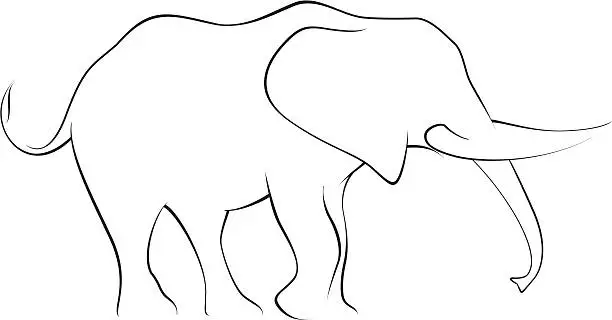 Vector illustration of Elephant drawing in black and white
