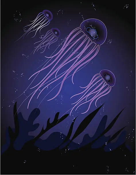 Vector illustration of School of Jellyfish