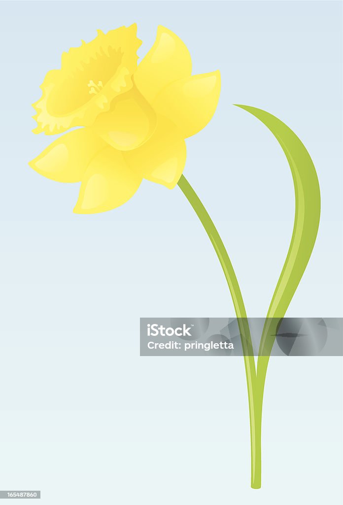 Spring Jonquille-jpeg inclus - clipart vectoriel de Feuille libre de droits