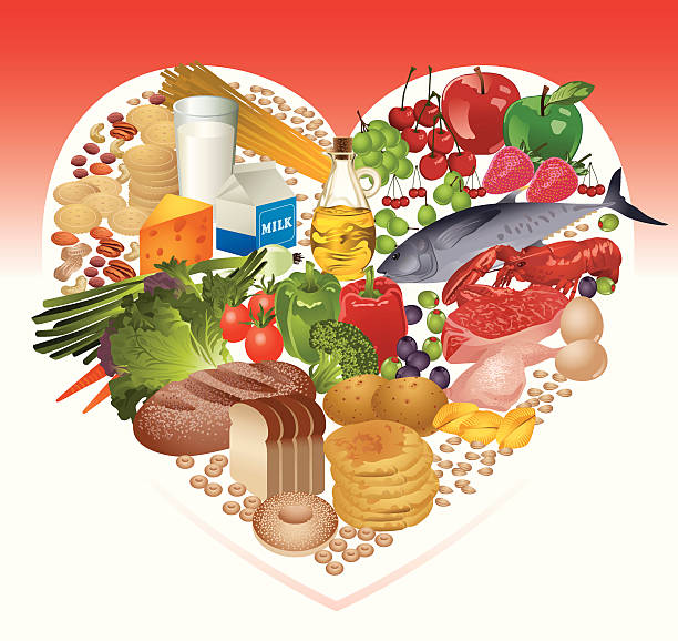 ilustraciones, imágenes clip art, dibujos animados e iconos de stock de comida saludable en corazón forma vectorial - food pyramid food healthy eating spaghetti