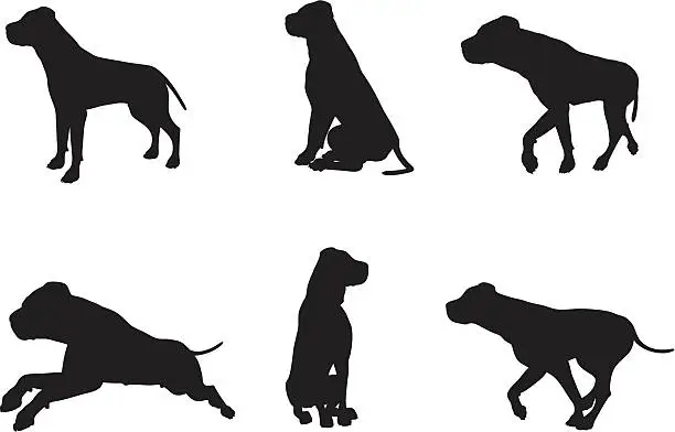 Vector illustration of Mastiff Silhouette Collection