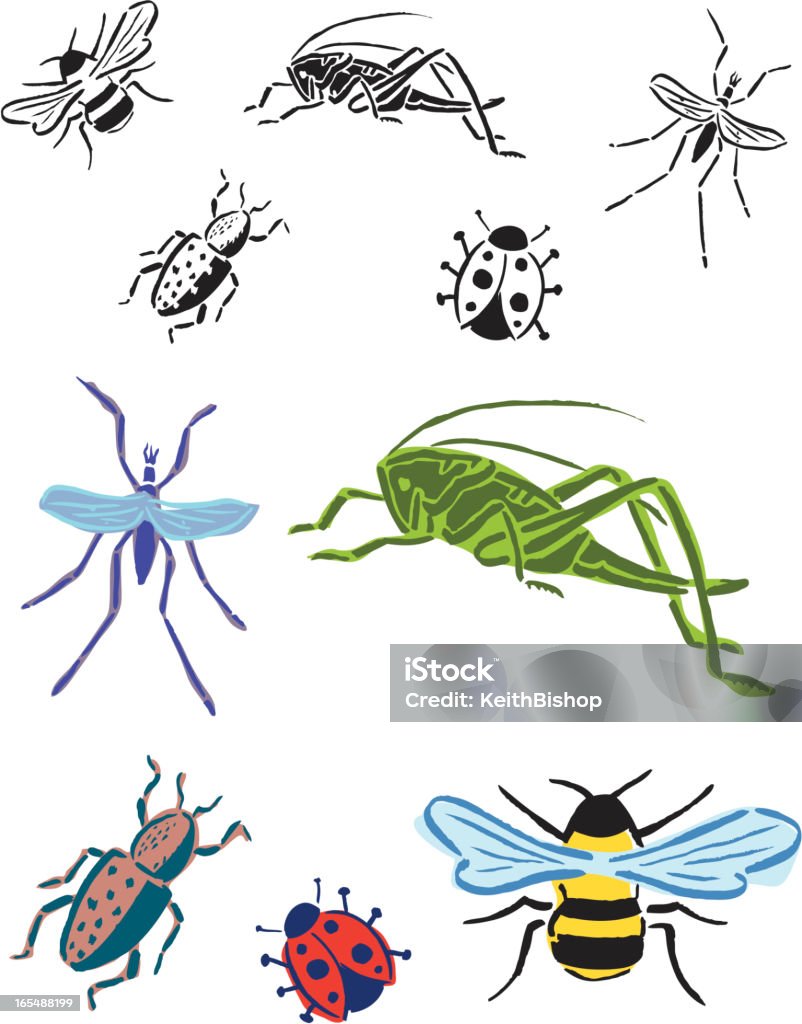 Bugs'abeille, Sauterelle, Coléoptère, Lady Bug, Mosquito - clipart vectoriel de Abeille libre de droits