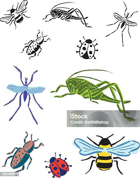 Жукипчела Кузнечик Жук Lady Bug Комар — стоковая векторная графика и другие изображения на тему Без людей - Без людей, Божья коровка, В горошек