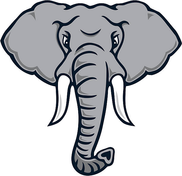 돌격 코끼리 볼테르 - elephant animal isolated white background stock illustrations