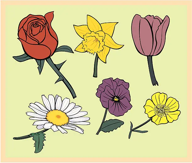 Vector illustration of Collection of Six  Flowers