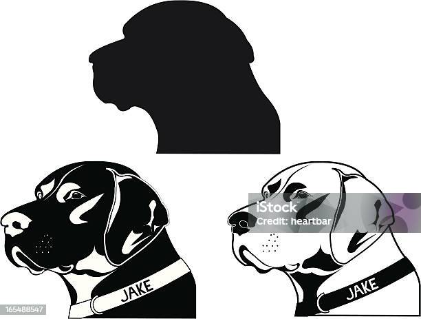 Pointer Dog Stock Illustration - Download Image Now - Black Labrador, Labrador Retriever, Hunting - Sport