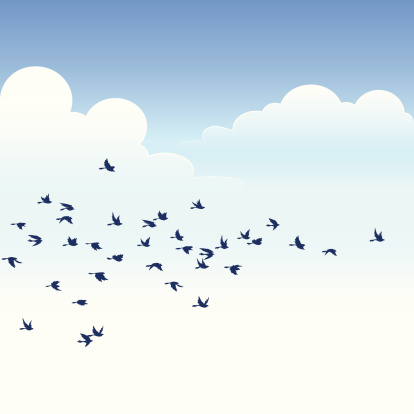 A vector illustrated flock over a clear sky. Basic gradients. Smart grouping for easy editing.