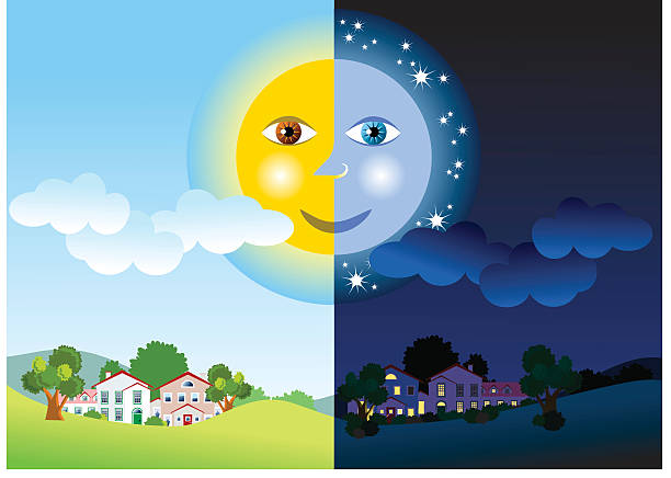 Half day and half night with the sun connected to the moon vector art illustration