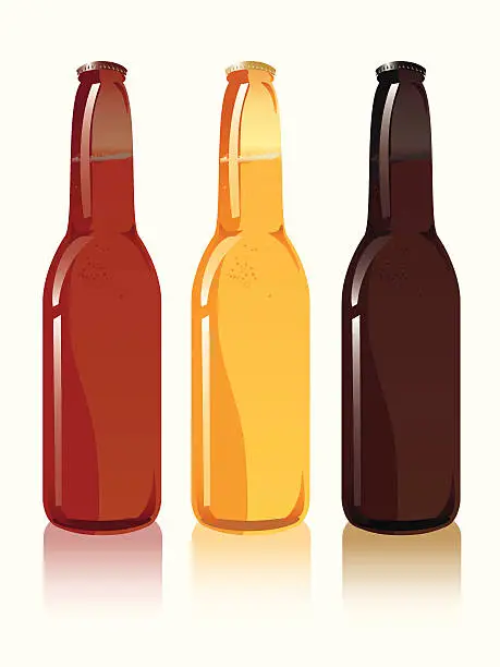 Vector illustration of Beer bottles