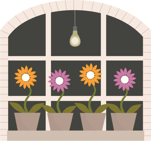 Window Box Flower Drawing 180+ Window Boxes Flowers Stock Illustrations, Royalty-Free Vector ...