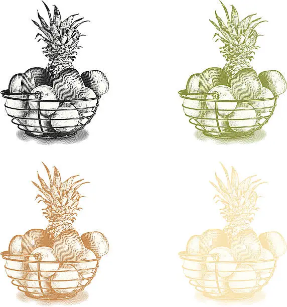 Vector illustration of Fruit Basket Design Elements