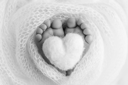 Feet of newborn baby with wedding rings parents