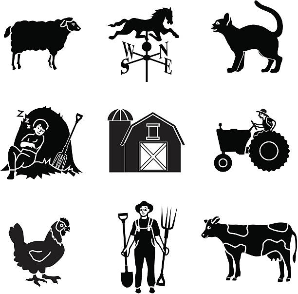 вниз на ферме - sheep child farm livestock stock illustrations