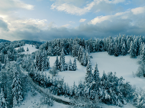 Beautiful winter landscape of Velika Planina. One of The Slovenian attractions during the wintertime. The nature and spruce trees are covered in deep snow. The weather is cold and party cloudy.