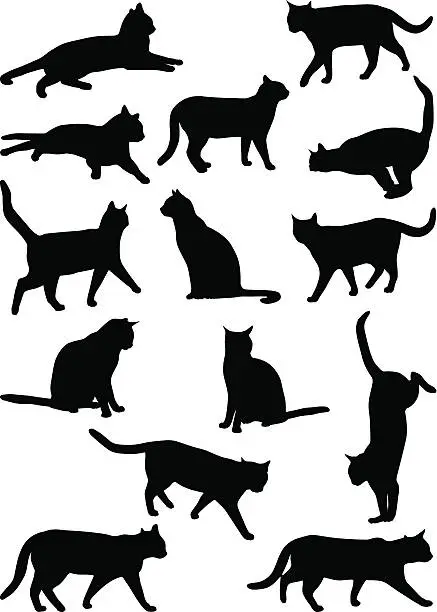Vector illustration of Cats 2