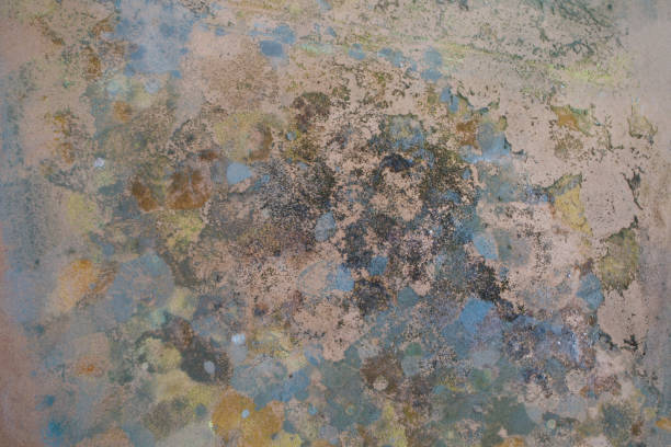 istock Beautiful abstract painted decorative stucco wall background 1654908466