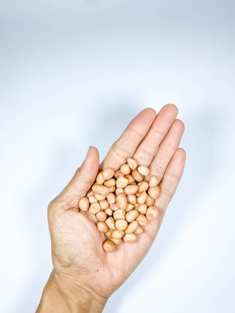istock Someone holding some peeled peanuts on hand palm. Isolated on white background 1654910543