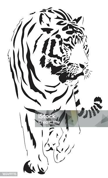 Bengal Tiger Illustrationen Stock Vektor Art und mehr Bilder von Tiger - Tiger, Illustration, Gehen