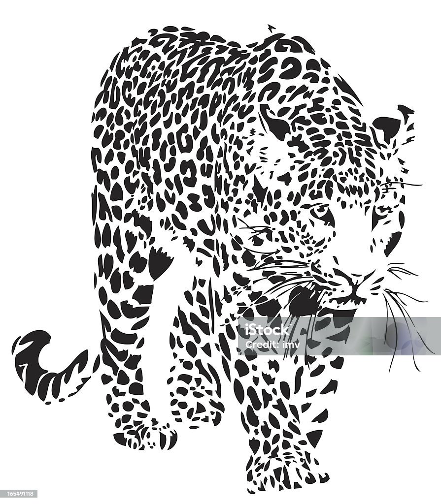 Vectơ Leopard Hình minh họa Sẵn có - Tải xuống Hình ảnh Ngay bây ...