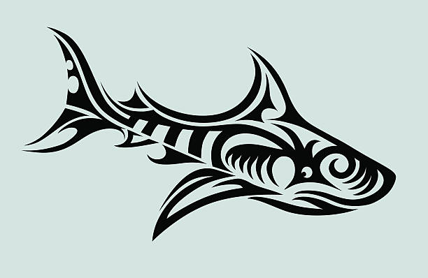 Tribal Shark Design A Vector Illustration That would make a great Tattoo. Re Size & Re Colour as you like, It's a vector! Available as an EPS, JPG, Adobe Illustrator & Corel Draw tiger shark stock illustrations