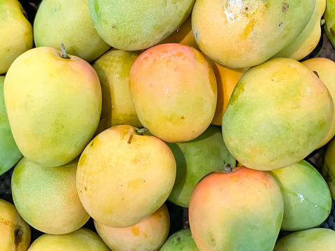 Pile of Fresh Yellow Green Colored Mango displayed on supermarket or fruit market.