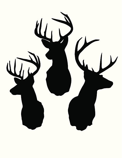 ilustrações, clipart, desenhos animados e ícones de deer silhuetas de cabeça - cervo