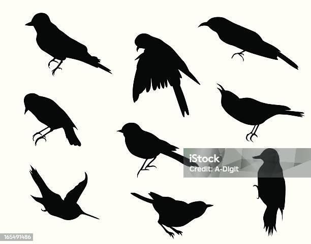 Smallbirds - Immagini vettoriali stock e altre immagini di Uccello - Uccello, Cuculo euroasiatico, Contorno - Forma