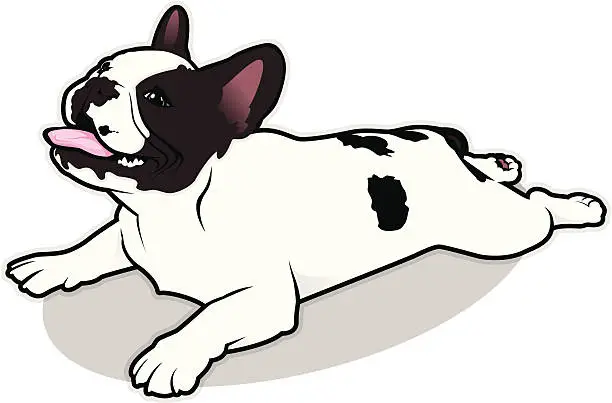 Vector illustration of French Bulldog Illustration v1.0