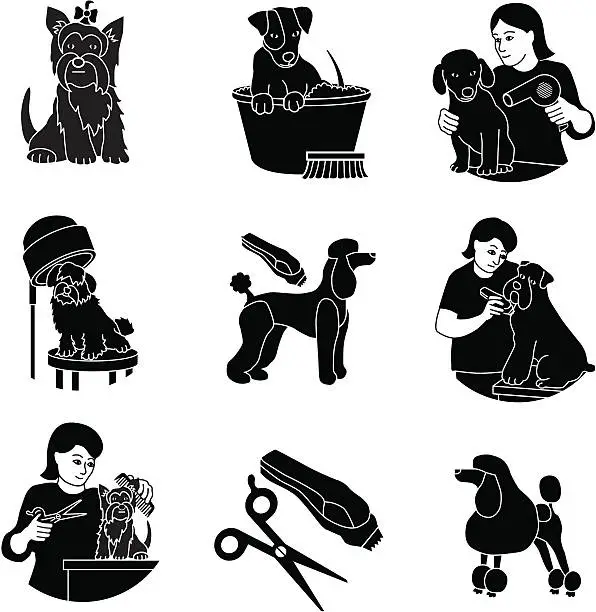 Vector illustration of dog grooming