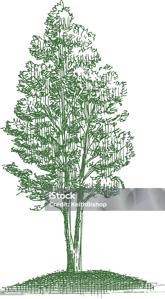 Drzewo-Symbol życia - Grafika wektorowa royalty-free (Drzewo)