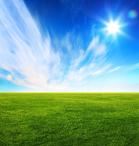 Green grass under blue sky with light cloud stock photo