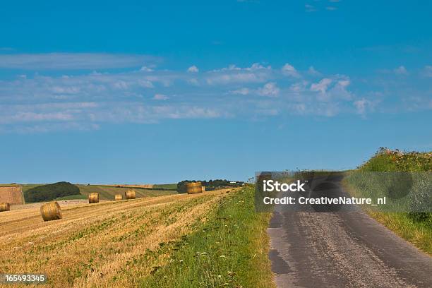 Francés País Camino Rural Foto de stock y más banco de imágenes de Agricultura - Agricultura, Aire libre, Azul