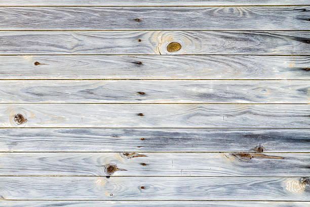Gray background showing knots on wood Rustic wood with knots and nails. knotted wood wood dirty weathered stock pictures, royalty-free photos & images