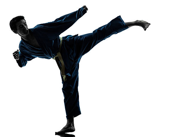 istock karate vietvodao martial arts man silhouette 165493692