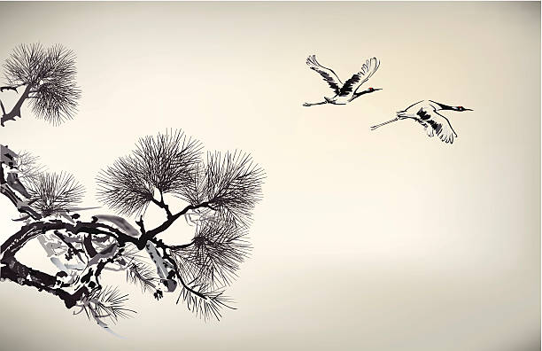 Ink style Pine Tree and crane Ink style Pine Tree and crane, eps10 file crane bird stock illustrations