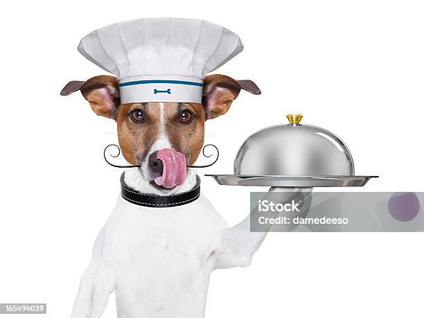 Perro Chef Cook Foto de stock y más banco de imágenes de Agarrar - Agarrar, Bandeja para servir, Perro