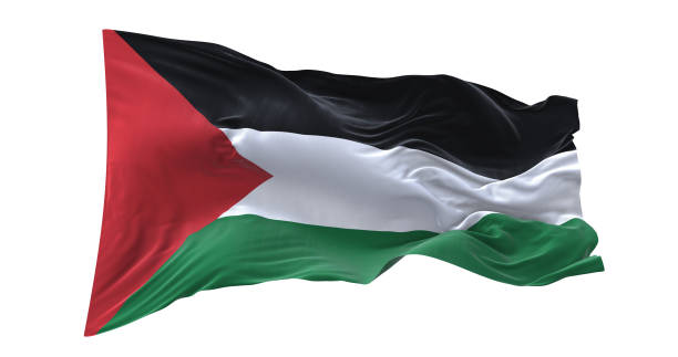 istock Palestine flag waving isolated on white background. 1654941191