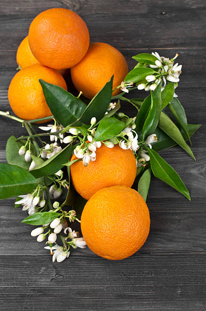 istock Oranges and orange blossom on dark wooden table 165494312