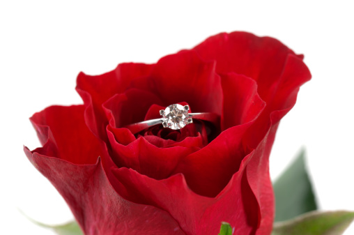 Anniversary Diamond Ring with Red Rose Isolated On White