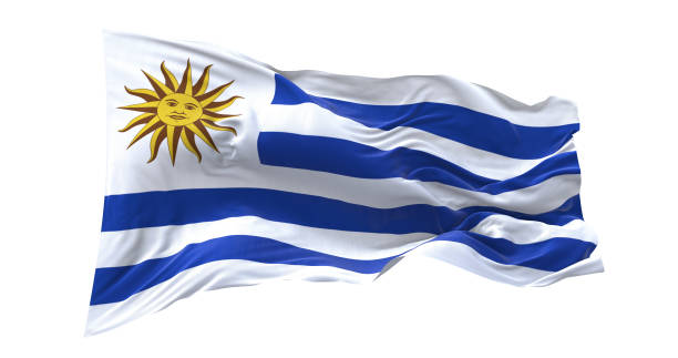 白い背景にウルグアイの国旗を振る。 - uruguayan flag ストックフォトと画像
