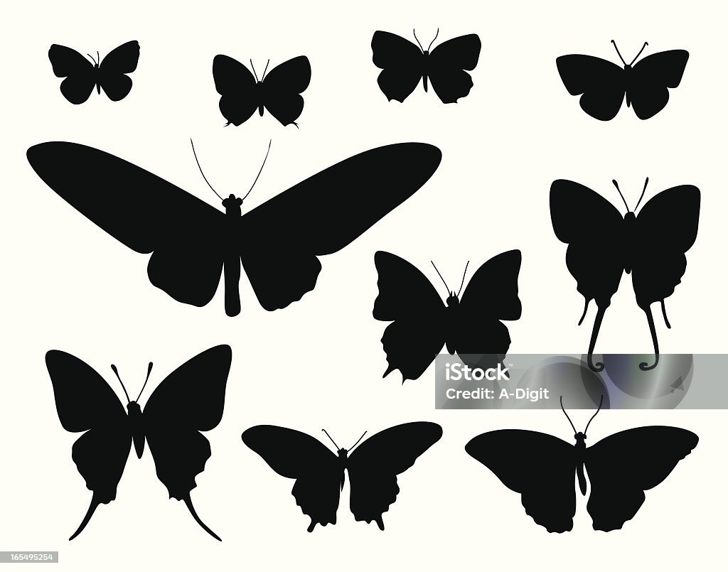 MothCollection - arte vectorial de Ala de animal libre de derechos