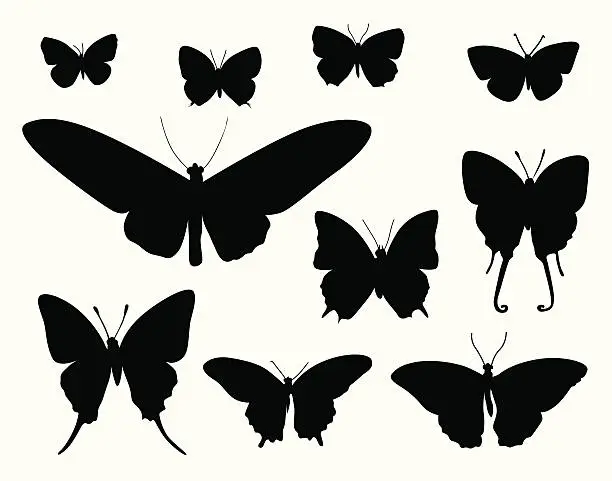 Vector illustration of Moth Collection Vector Silhouette