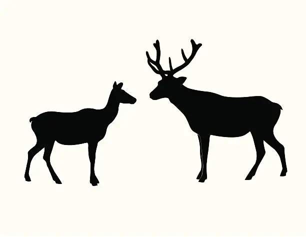 Vector illustration of Elk Silhouettes, Male and Female